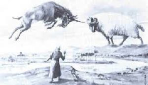 Daniel Endzeit Widder Ziegenbock